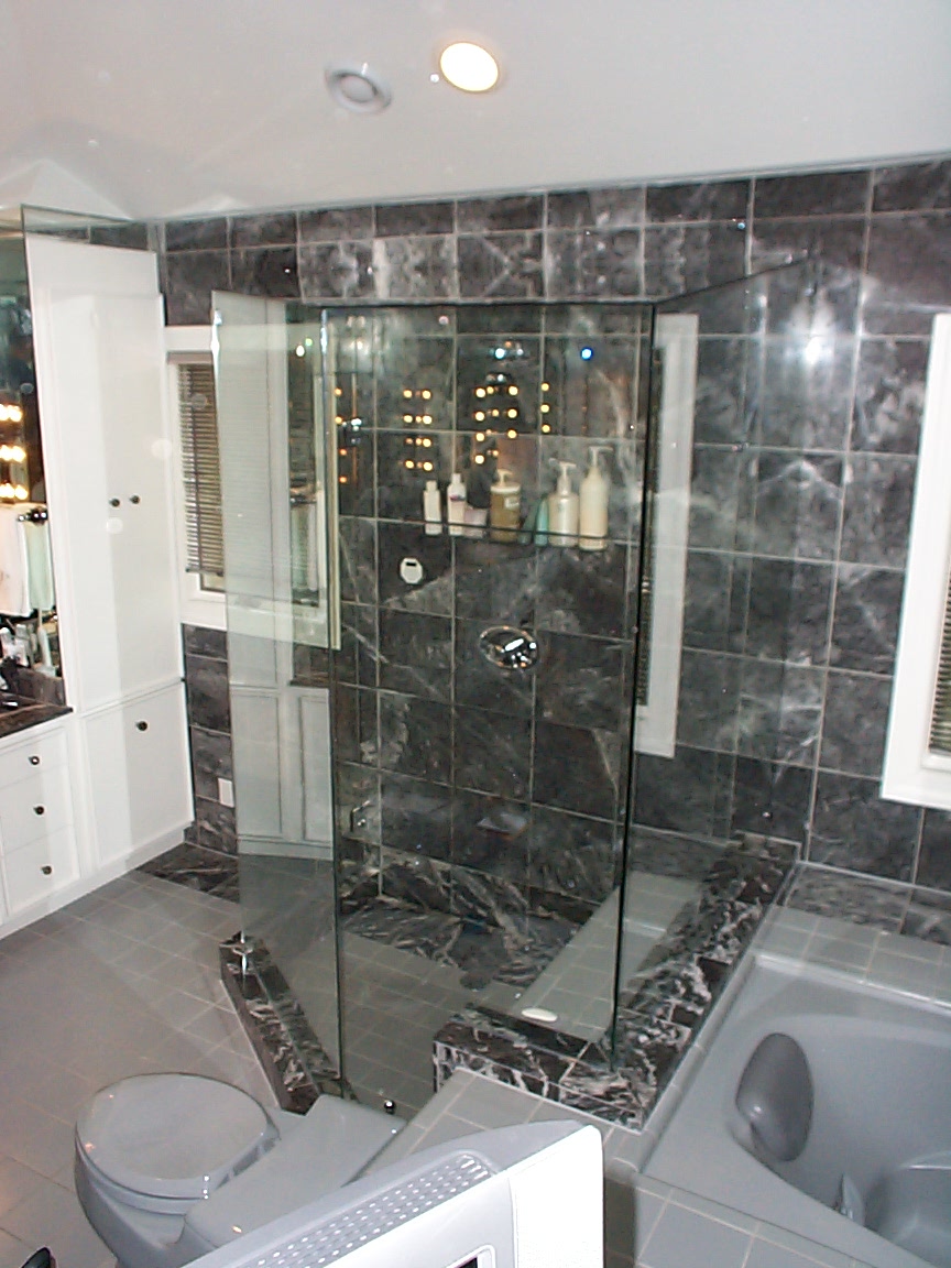 silverman steam frameless 010